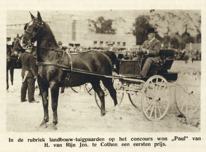 99060 Afbeelding van het prijswinnende paard van eigenaar H. van Rijn Jzn. uit Cothen op het Concors Hippique dat werd ...